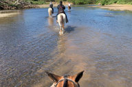 Horse Riding