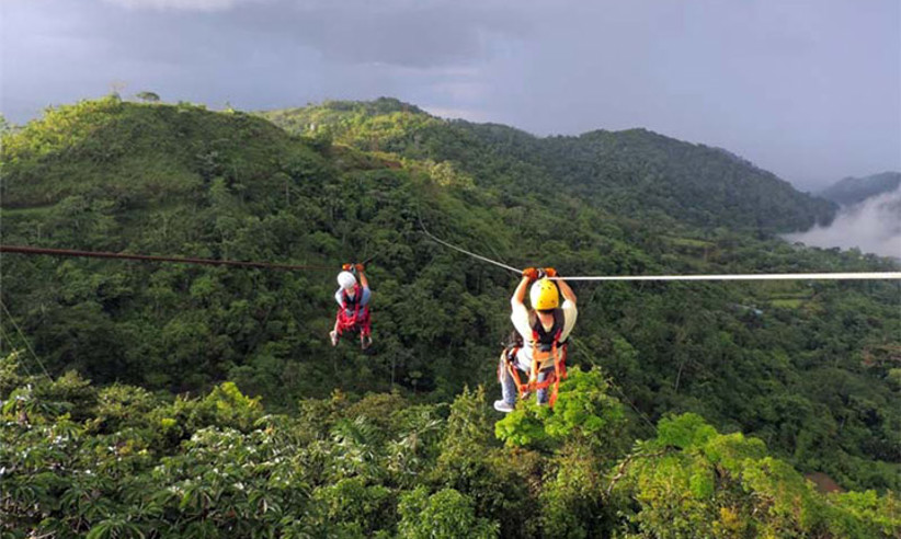 Adventurers ziplining high above the rainforest canopy with misty mountains in the background. 