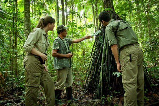 Expert guide leading a jungle walk with guests in the Amazon rainforest near EcoPark Lodge, Brazil. 