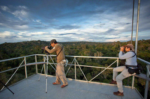 Observation Tower 2