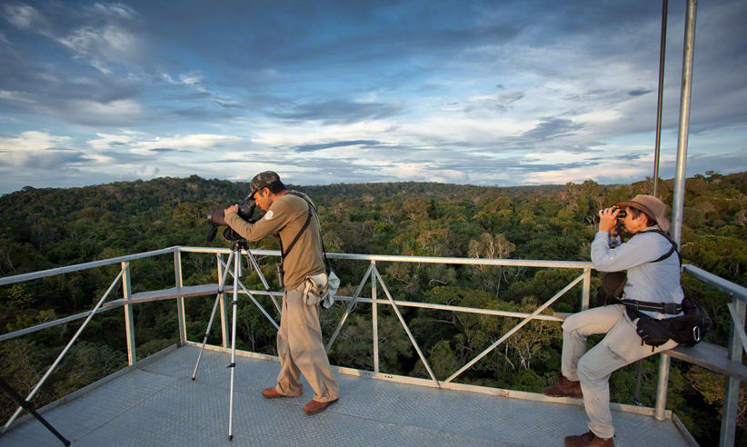 Observation Tower 2