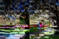 Explore The Gardens