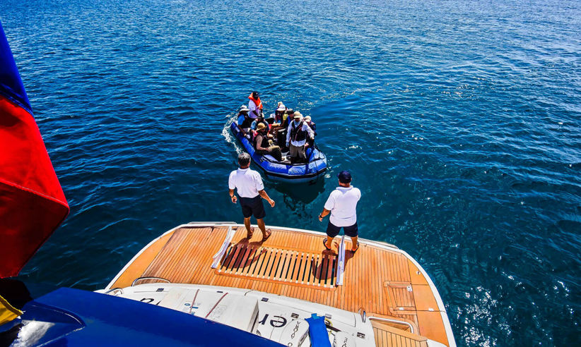 Go ashore by zodiac