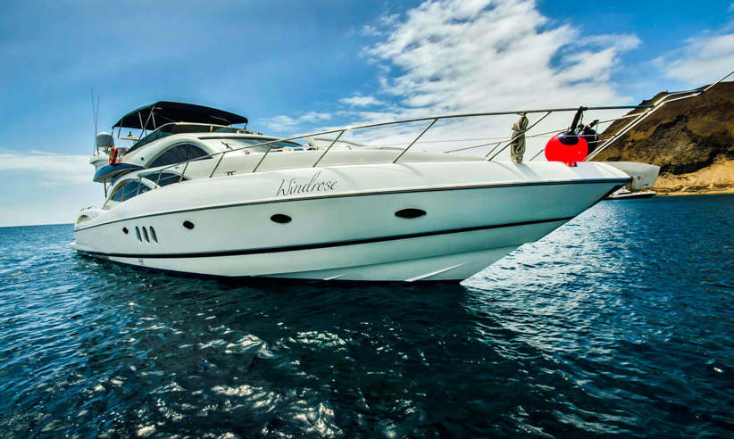 The stylish and fast Windrose day cruiser 