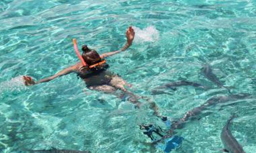 Snorkeling Crystal Clear Sea