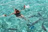 Snorkeling Crystal Clear Sea