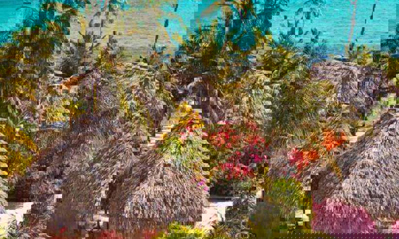 Home Img 01 1 590X590 Acf Cropped