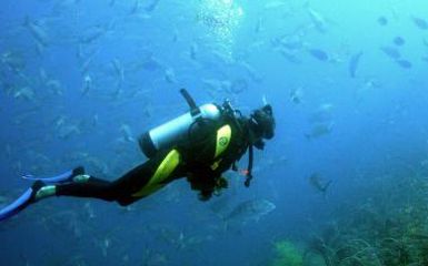 Image for: Diving Slider 05 380X380 Acf Cropped