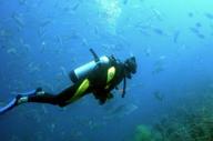 Diving Slider 05 380X380 Acf Cropped