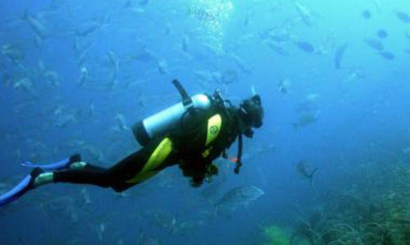 Diving Slider 05 380X380 Acf Cropped