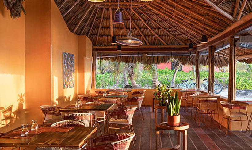 Belize Restaurant Seaview Mambo 590X590 Acf Cropped
