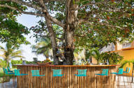 Belize Luxury Resort Beachfront Accommodation Matachica 590X590 Acf Cropped
