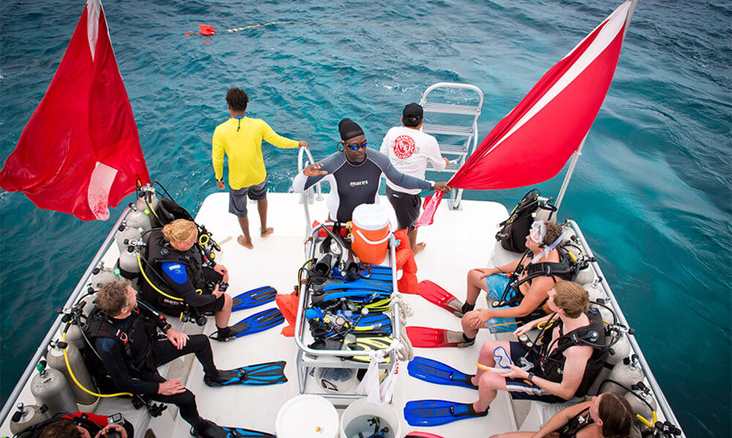 Scuba Diving