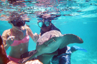 Snorkelling