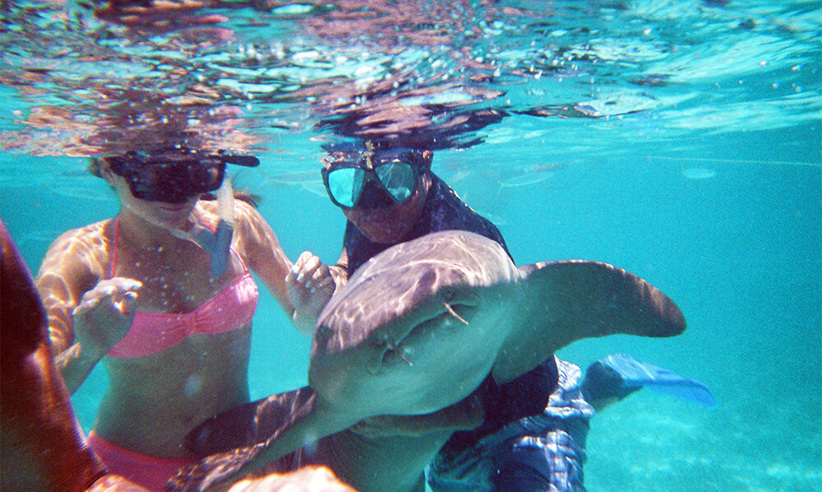 Snorkelling