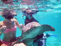 Snorkelling