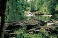 The river running through the lodge