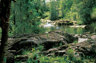 The river running through the lodge