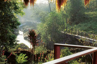 View From Bungalow