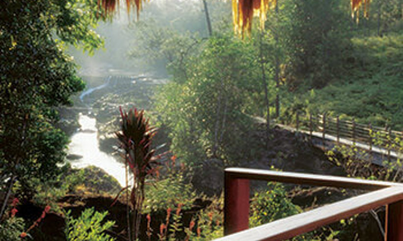View From Bungalow