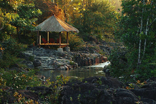 Your jungle hideaway