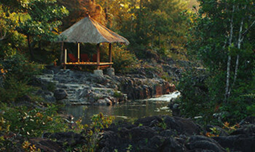 Your jungle hideaway