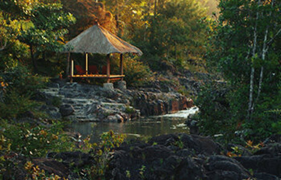 Your jungle hideaway