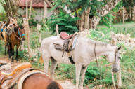 Kaana Website Adventure Horseback Riding 800