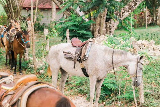 Kaana Website Adventure Horseback Riding 800