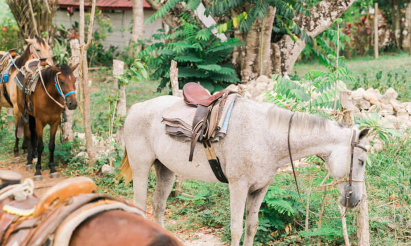 Kaana Website Adventure Horseback Riding 800