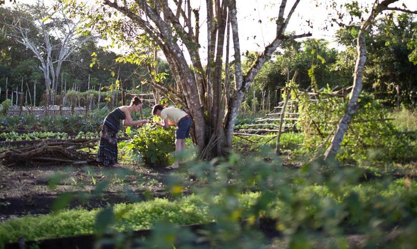 Kaana Website Resort Organic Garden 1600X10001