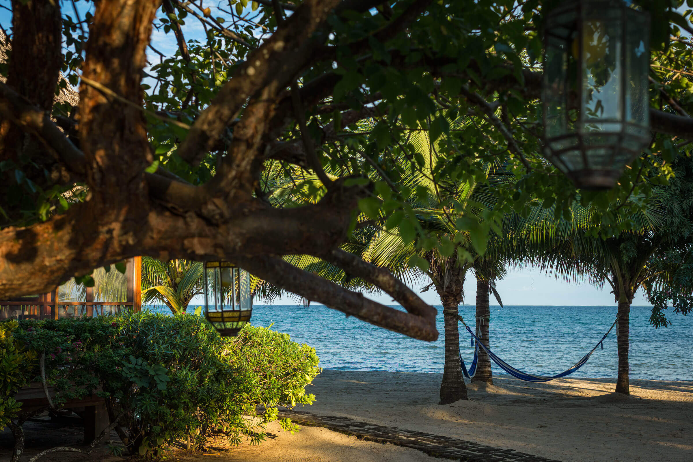 Hammock on the beach