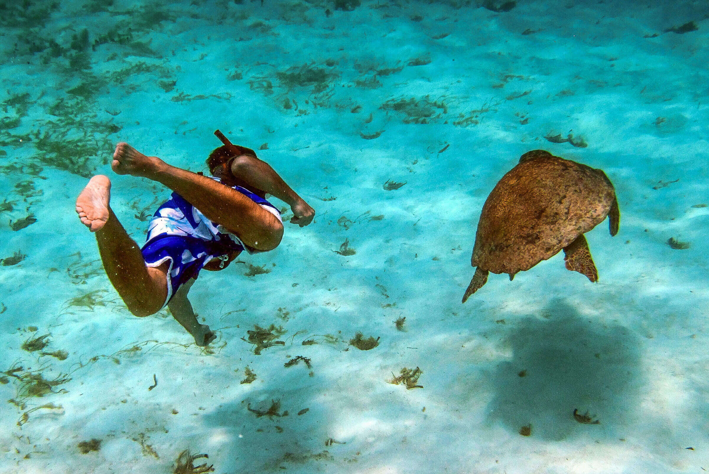 Snoerkelling in the clear sea teaming with marine life