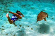 Snoerkelling in the clear sea teaming with marine life