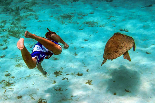 Snoerkelling in the clear sea teaming with marine life
