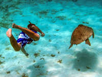 Snoerkelling in the clear sea teaming with marine life
