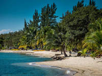 Caribbean Beach