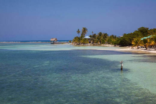 Caribbean Island and Reef