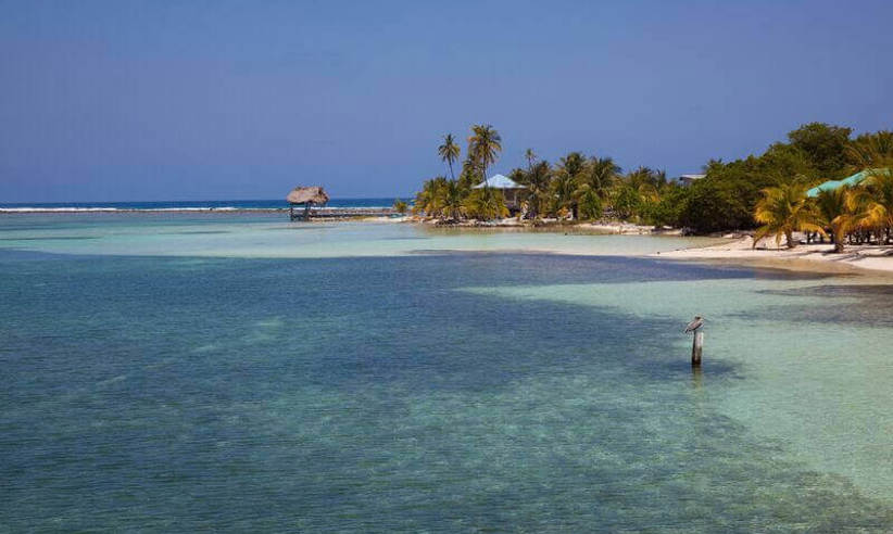 Caribbean Island and Reef