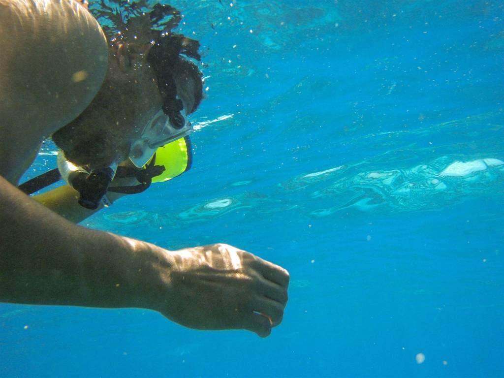 Snorkelling