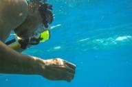 Snorkelling