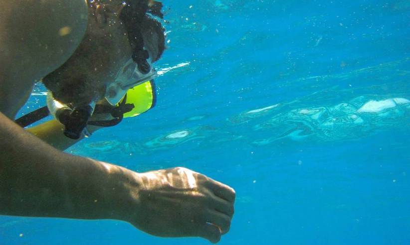 Snorkelling