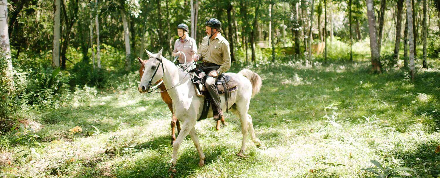 Take a tour by horseback