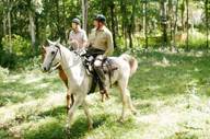 Take a tour by horseback