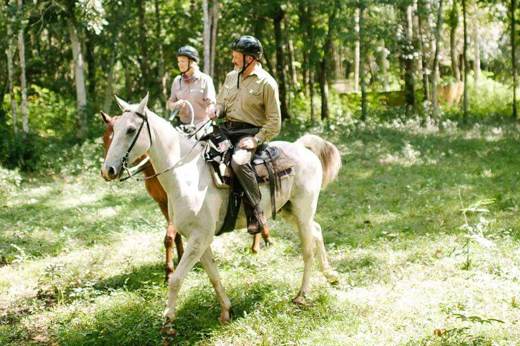 Take a tour by horseback
