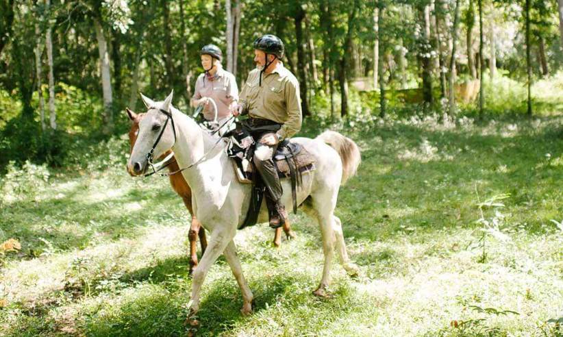 Take a tour by horseback