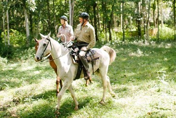 Take a tour by horseback