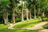 Chaa Creek Grounds