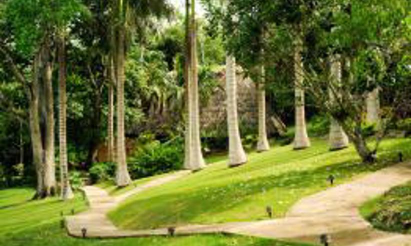 Chaa Creek Grounds