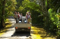 Bird Watching Tour